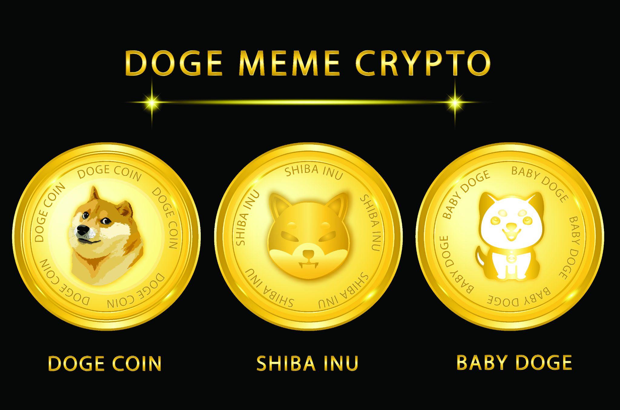 What Is A Meme Coin? How To Invest In Meme Coin? Zecripto