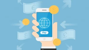 Cross-Border Remittance Platforms Powered by Cryptocurrency